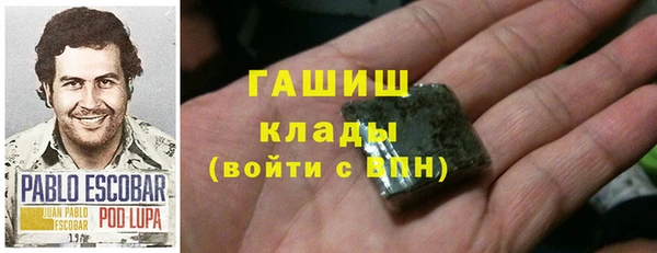 ECSTASY Богданович