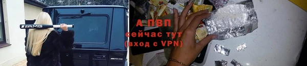 ECSTASY Богданович