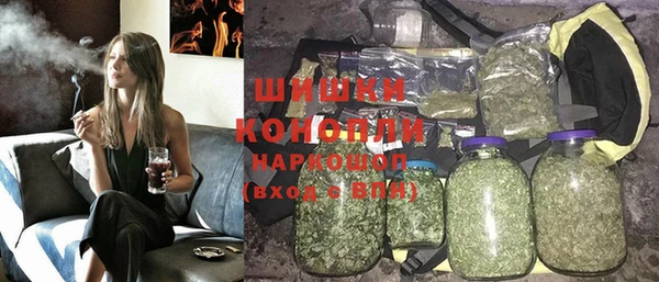 ECSTASY Богданович