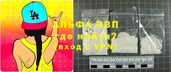 ECSTASY Богданович